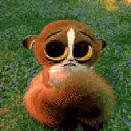 dfyz