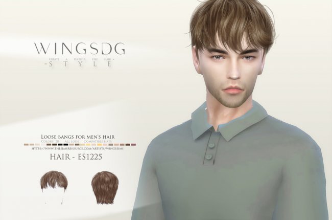 WINGS-ES1227-Loose bangs for men's hair от wingssims