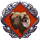 37.png