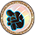 17.png