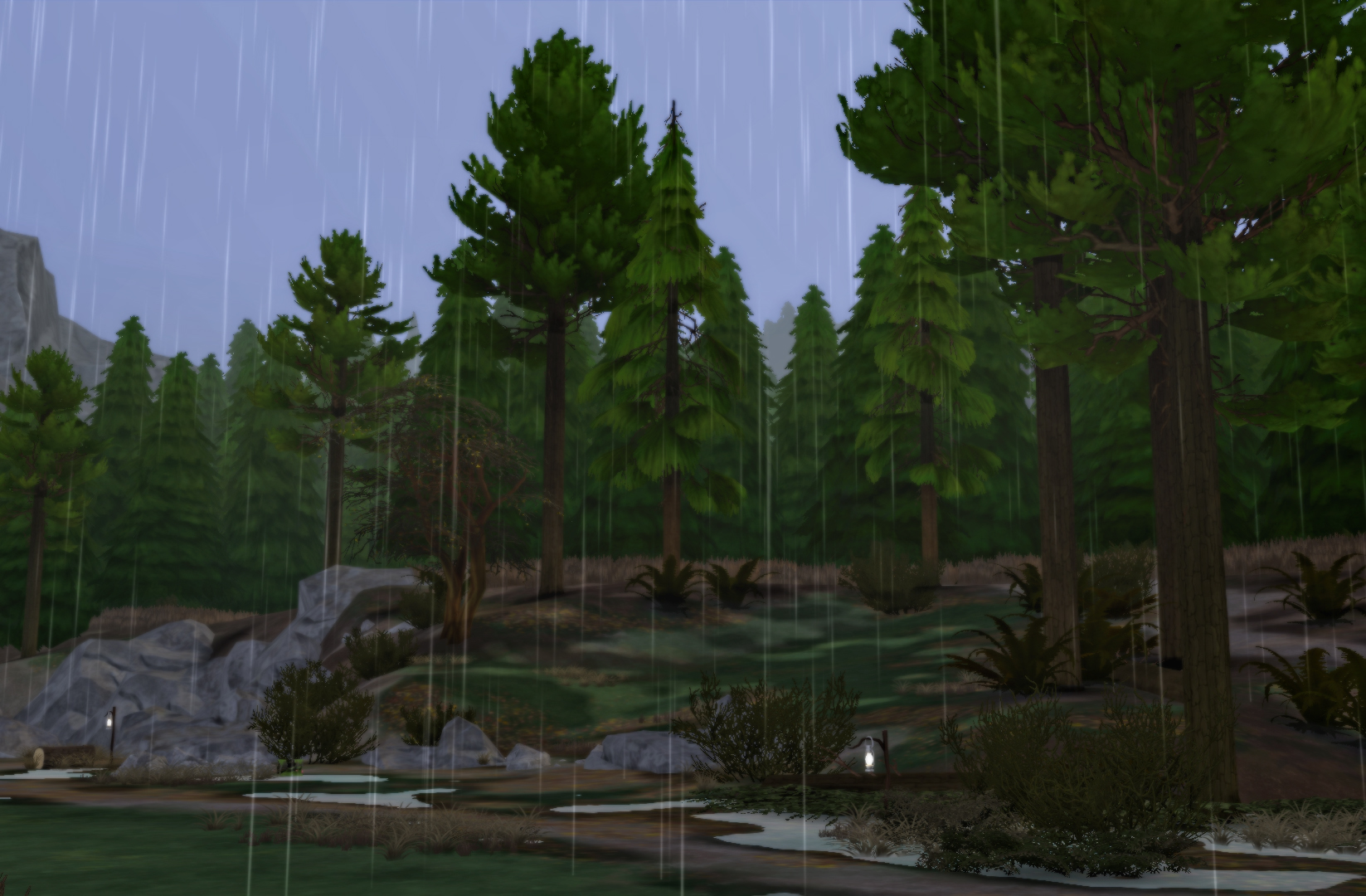 Дождь в лесу