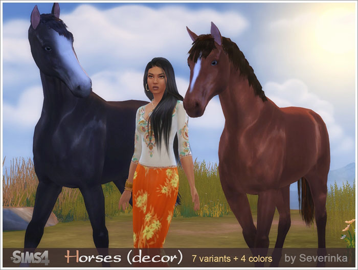 horses1.jpg