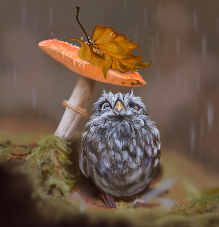 owl-autumn-800.jpg