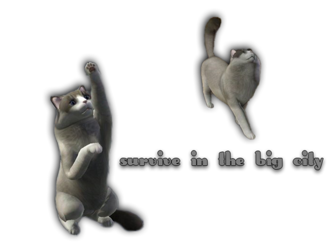 980204_m.png