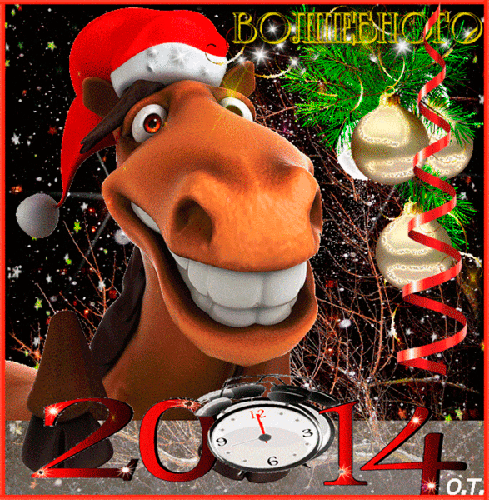255620763.gif