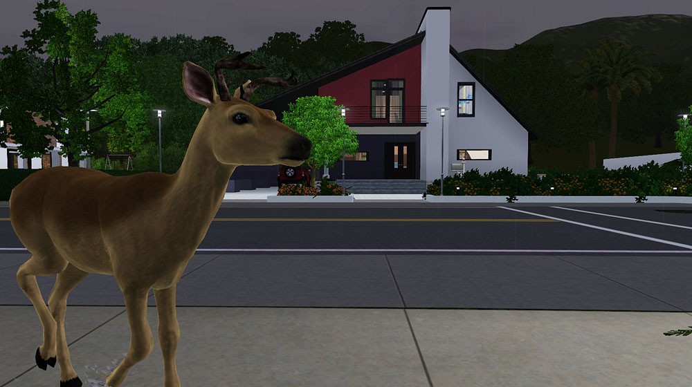 Screenshot.jpg