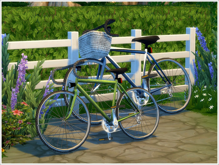 bicycles3.jpg