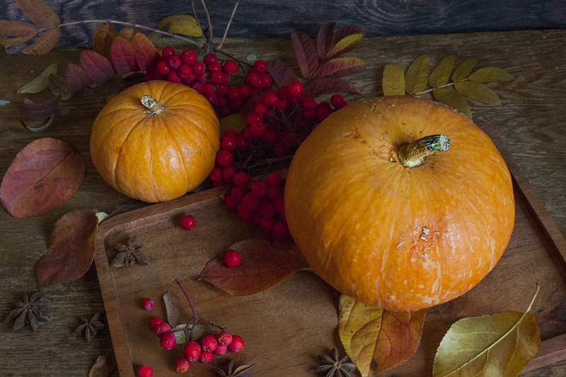 2019pumpkin800-4.jpg