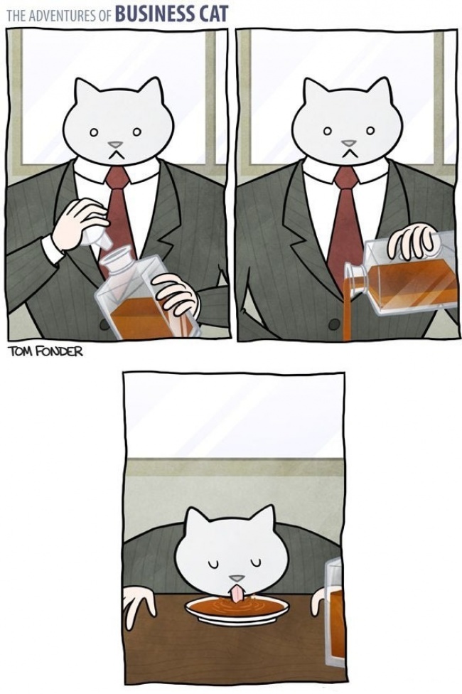 business-cat-010.jpg