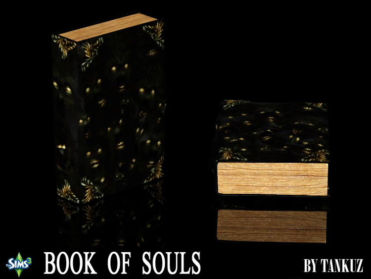 Tankuz_TS3_Book_Of_Souls_1_750.jpg