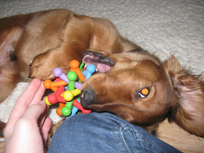 IMG_9067_resize.JPG