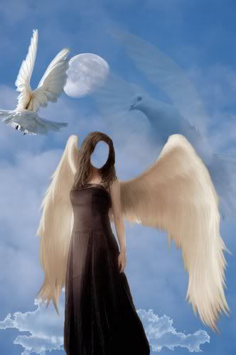 1265469178_devushka-angel.jpg