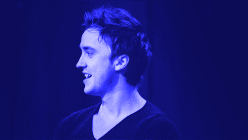 tumblr_m93xm6Vclq1rb9ydxo1_500.gif