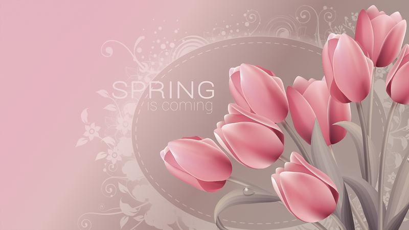 wallpaper-tulips-450-2.jpg