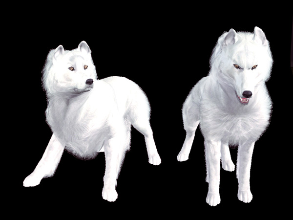 moonwand-wolf.jpg