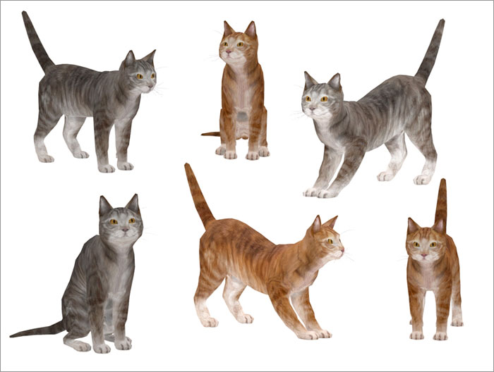 animals8.jpg