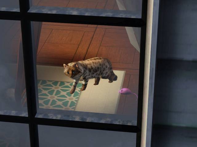 j8JsV.jpg