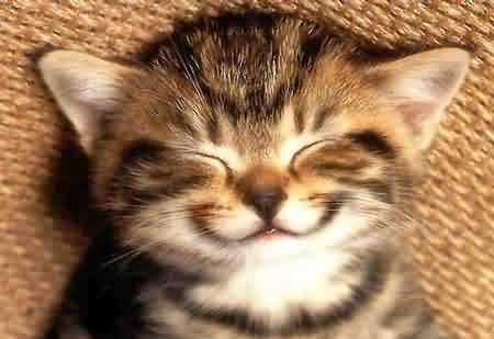 happy.jpeg