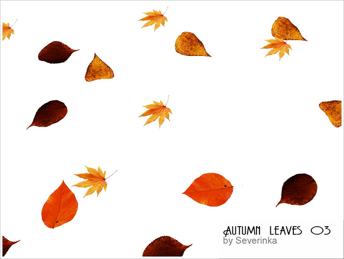 autumn-leaves4.jpg