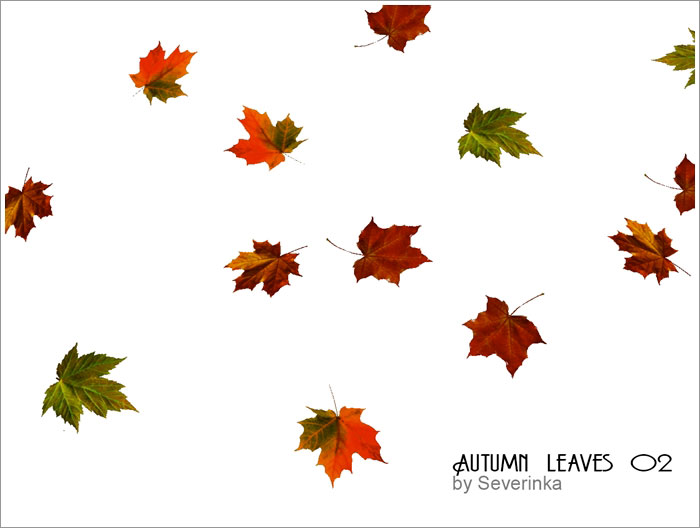 autumn-leaves3.jpg