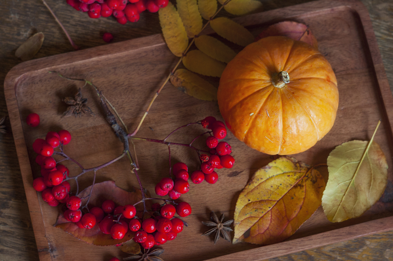 2019pumpkin800-2.jpg