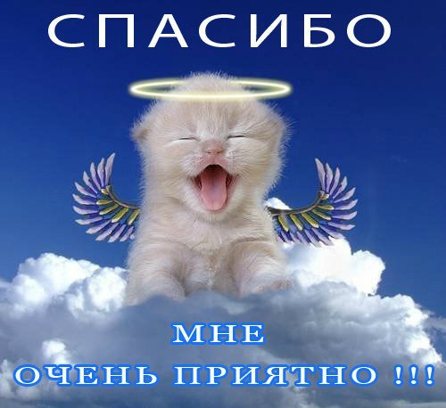 CFZsnyJ-XUU.jpg