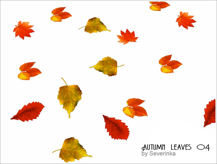 autumn-leaves5.jpg