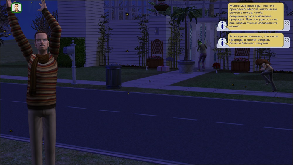 35516443.jpg