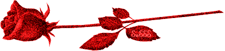 51303069.gif