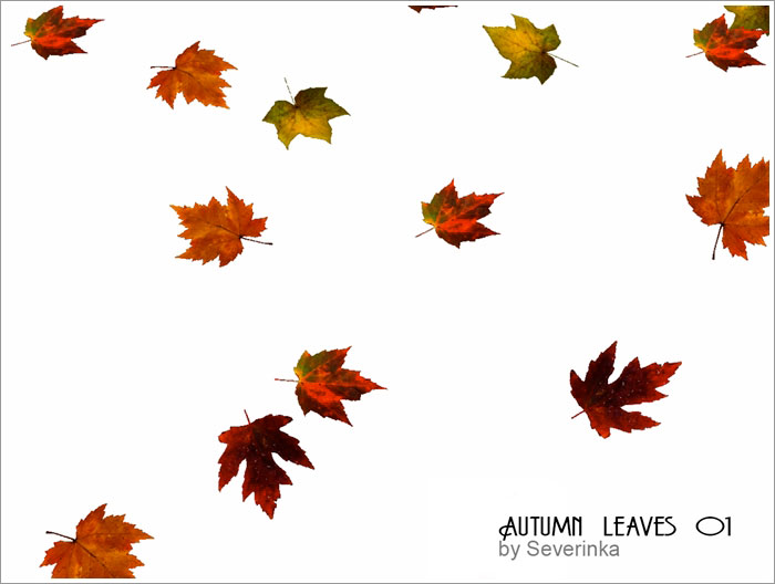 autumn-leaves2.jpg