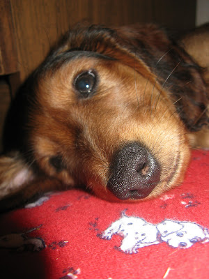 IMG_8673_resize.JPG