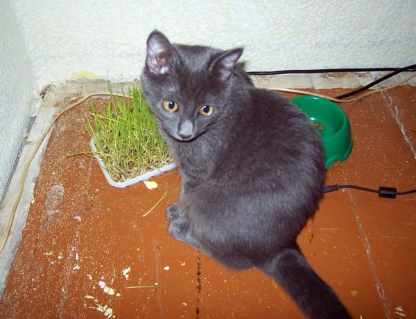 100_0672.jpg