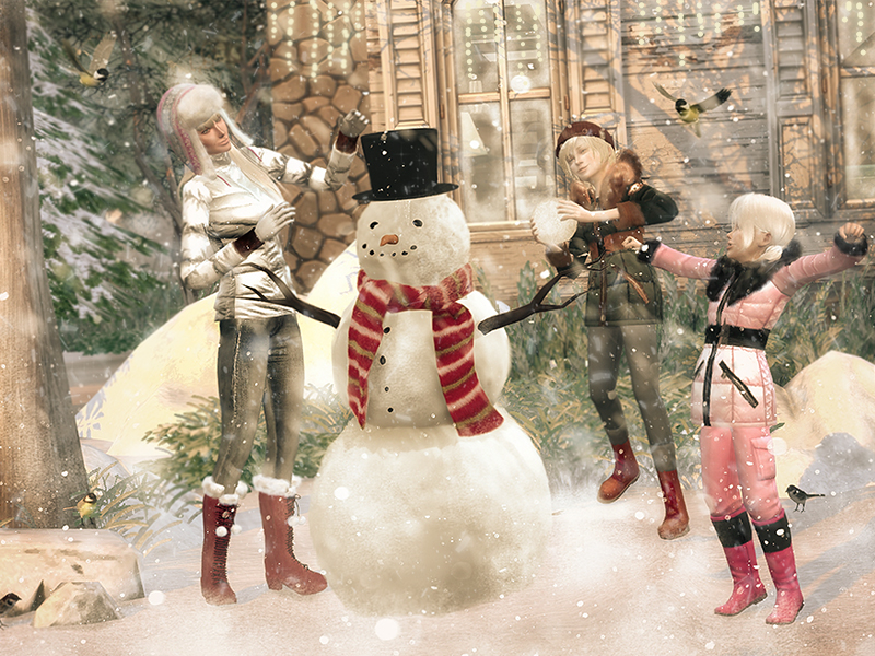 ts4-snow-800.jpg