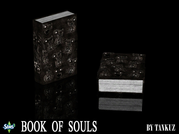 Tankuz_TS3_Book_Of_Souls_2_750.jpg