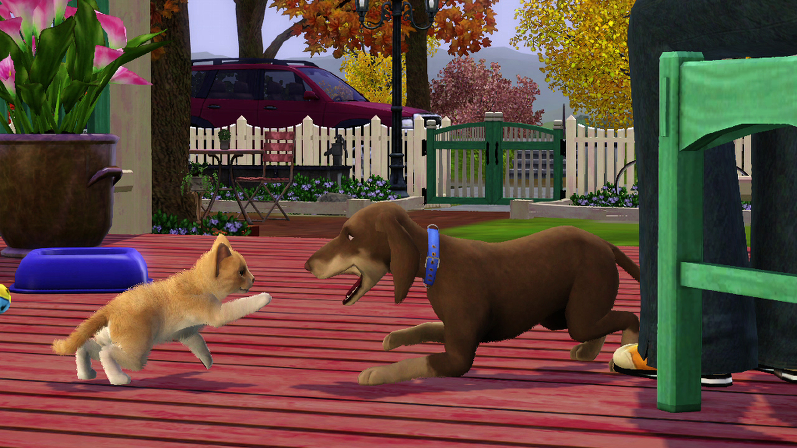 Скриншоты из The Sims 3 Pets | The Sims Creative Club