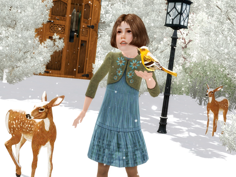 narnia800.jpg