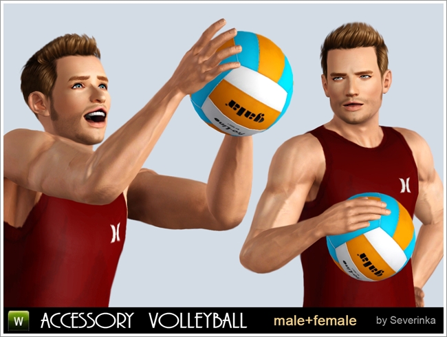 volleyball1.jpg