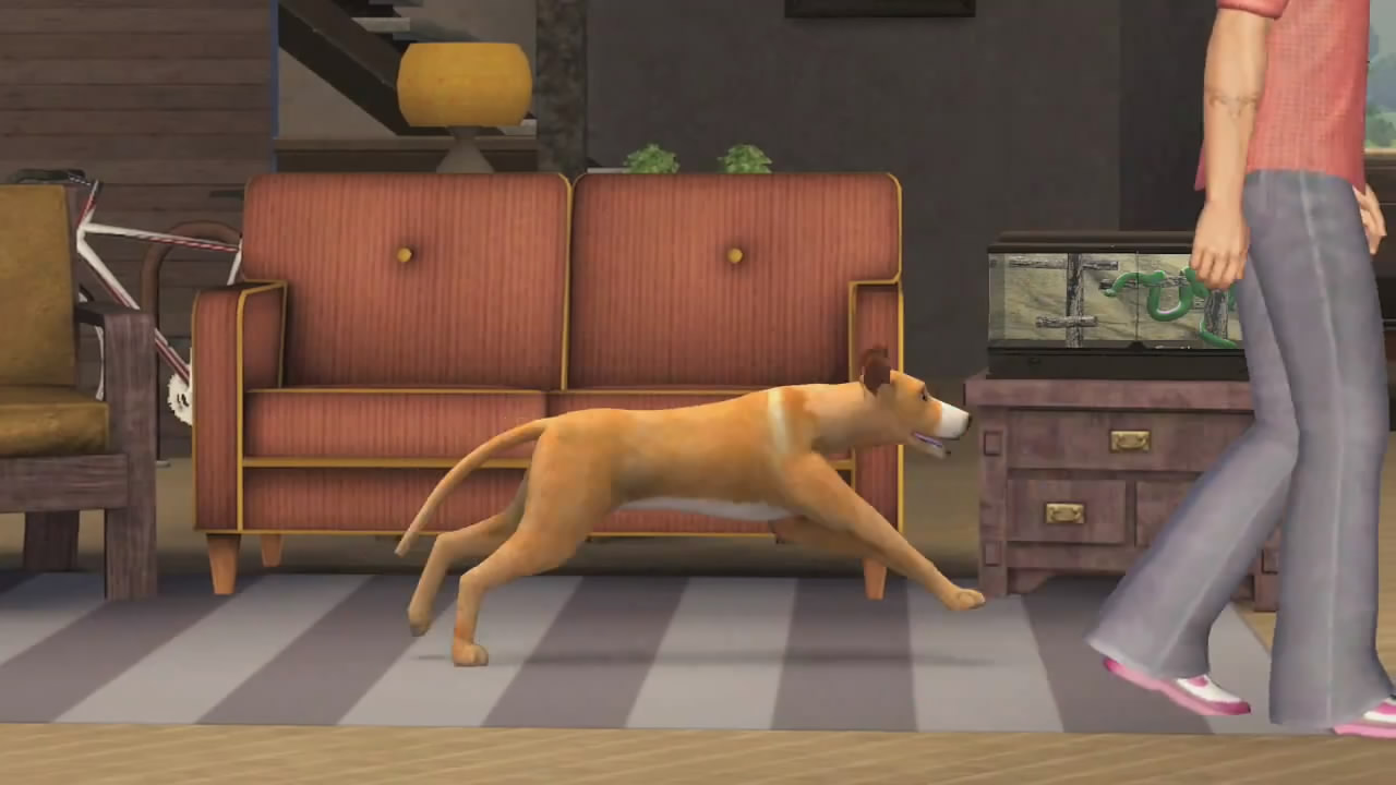 Скриншоты из The Sims 3 Pets | The Sims Creative Club