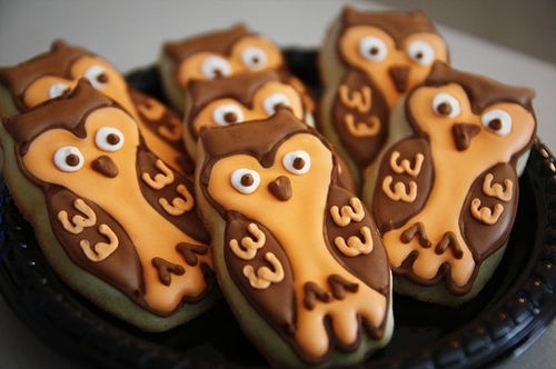 cookies-cute-food-frosting-owl-Favim.com-121806.jpg