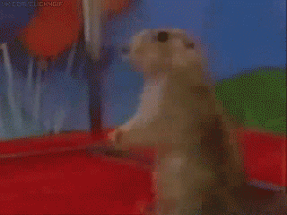 148811063.gif