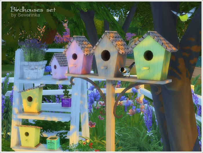 birdhouse-2.jpg