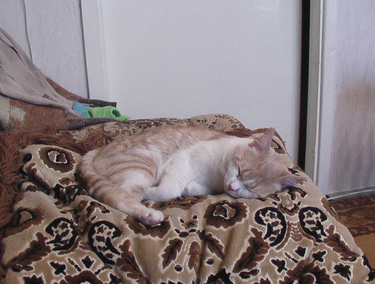f_19544087.jpg