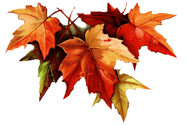 45717492_2qci6c7.png