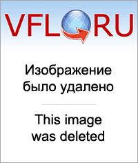 16903670.png