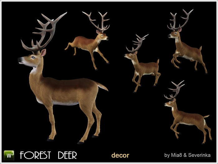 forest-deer2.jpg