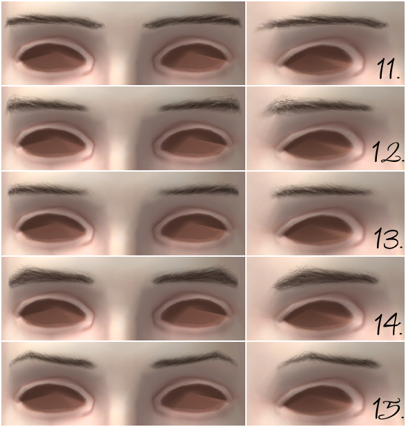 trapping-ts3brows-sets11-15.png