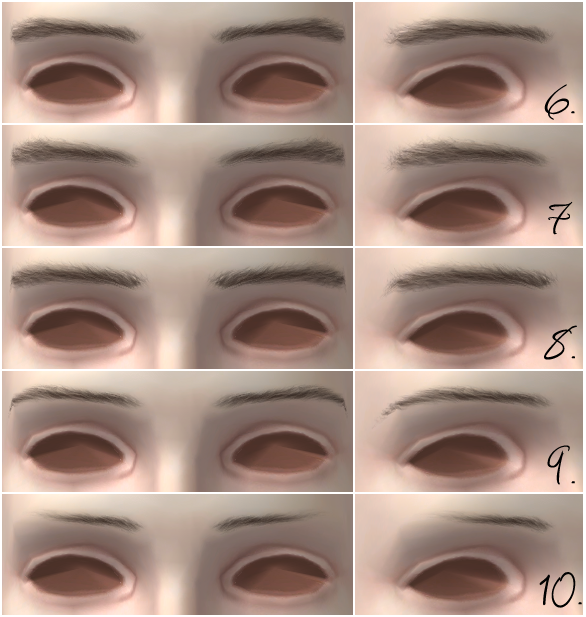 trapping-ts3brows-sets6-10.png