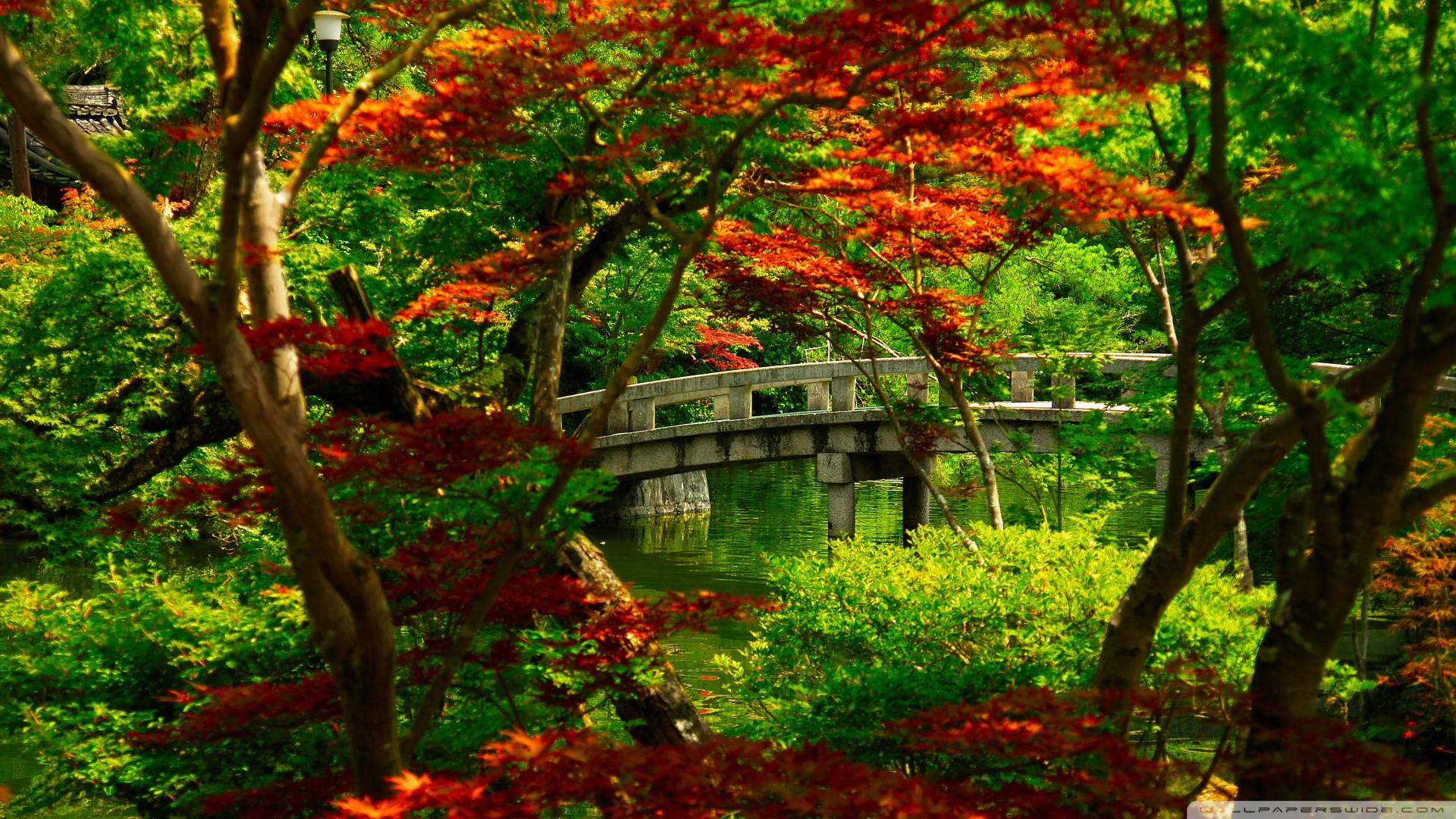 2677-japanese-garden-bridges-1920x1080-nature-wallpaper.jpg