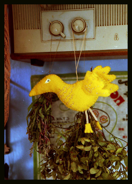 The_Yellow_Bird2_by_Sugis.jpg