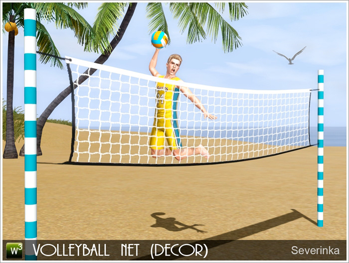volleyballnet1.jpg